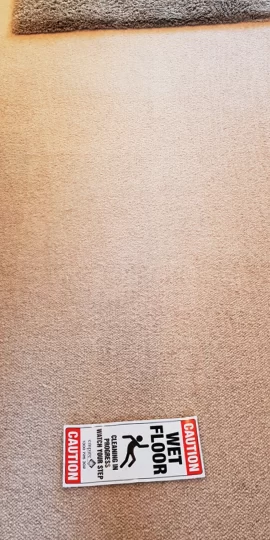 Residential Carpet Cleaning Services In Sydney 4